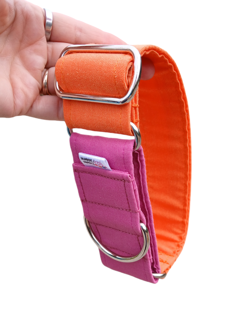 Collar martingale colors naranja/ fucsia
