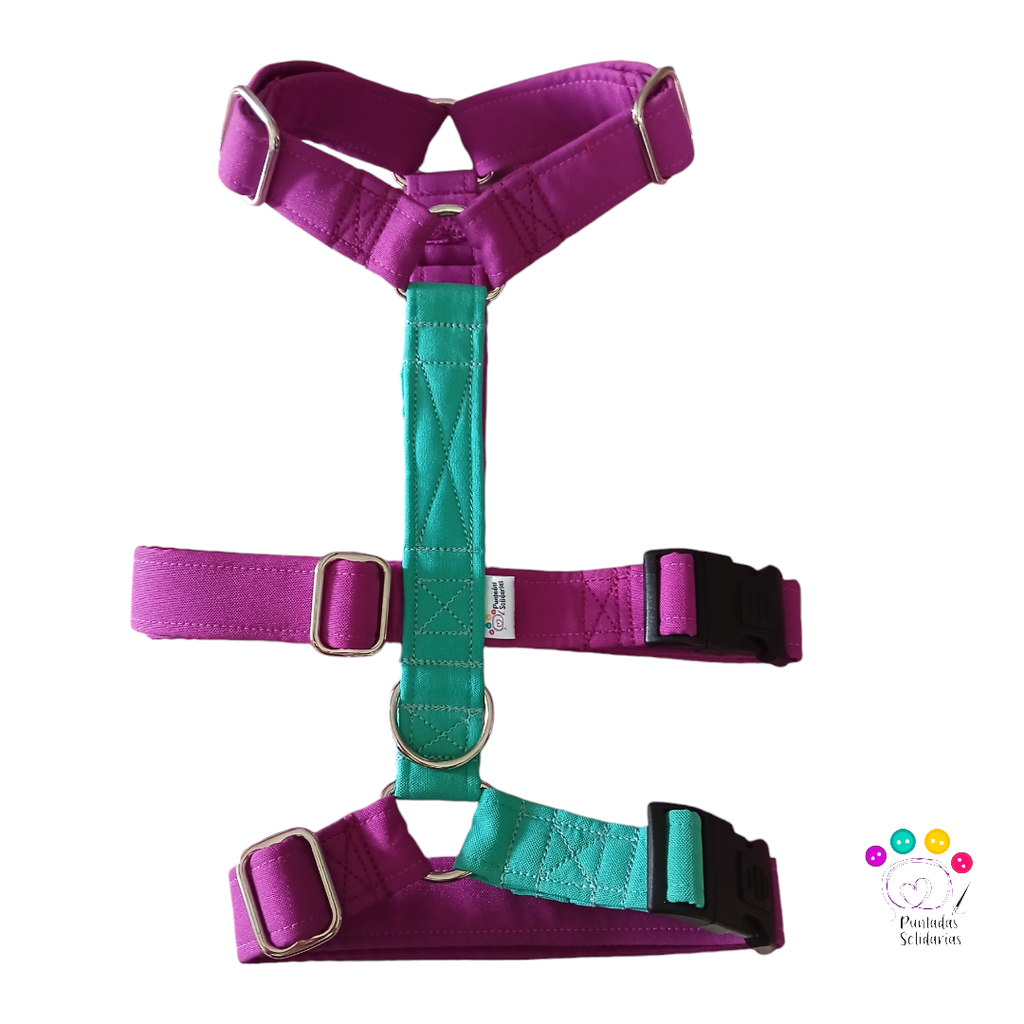 Arnés 3 puntos  Colors a medida