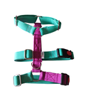 Arnés 3 puntos Colors a medida