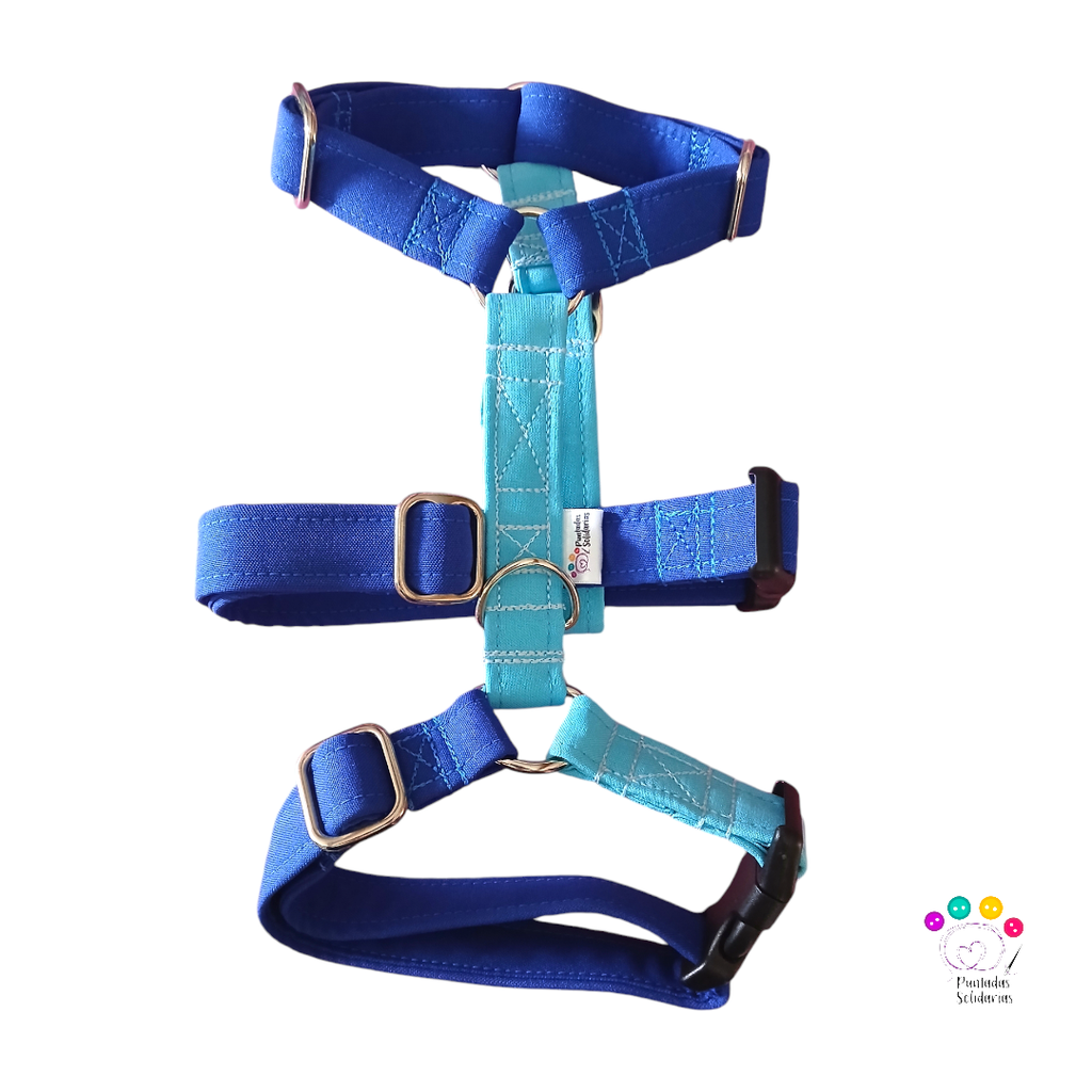 Arnés 3 puntos colors azul a medida 