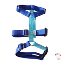 Arnés 3 puntos colors azul a medida 