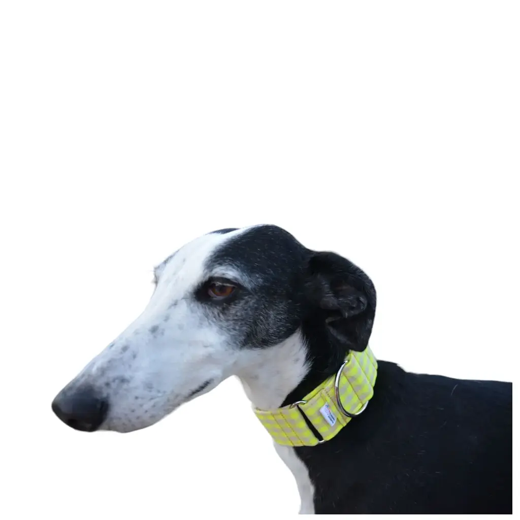 Collar martingale Vichy amarillo