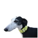 Collar martingale Vichy amarillo