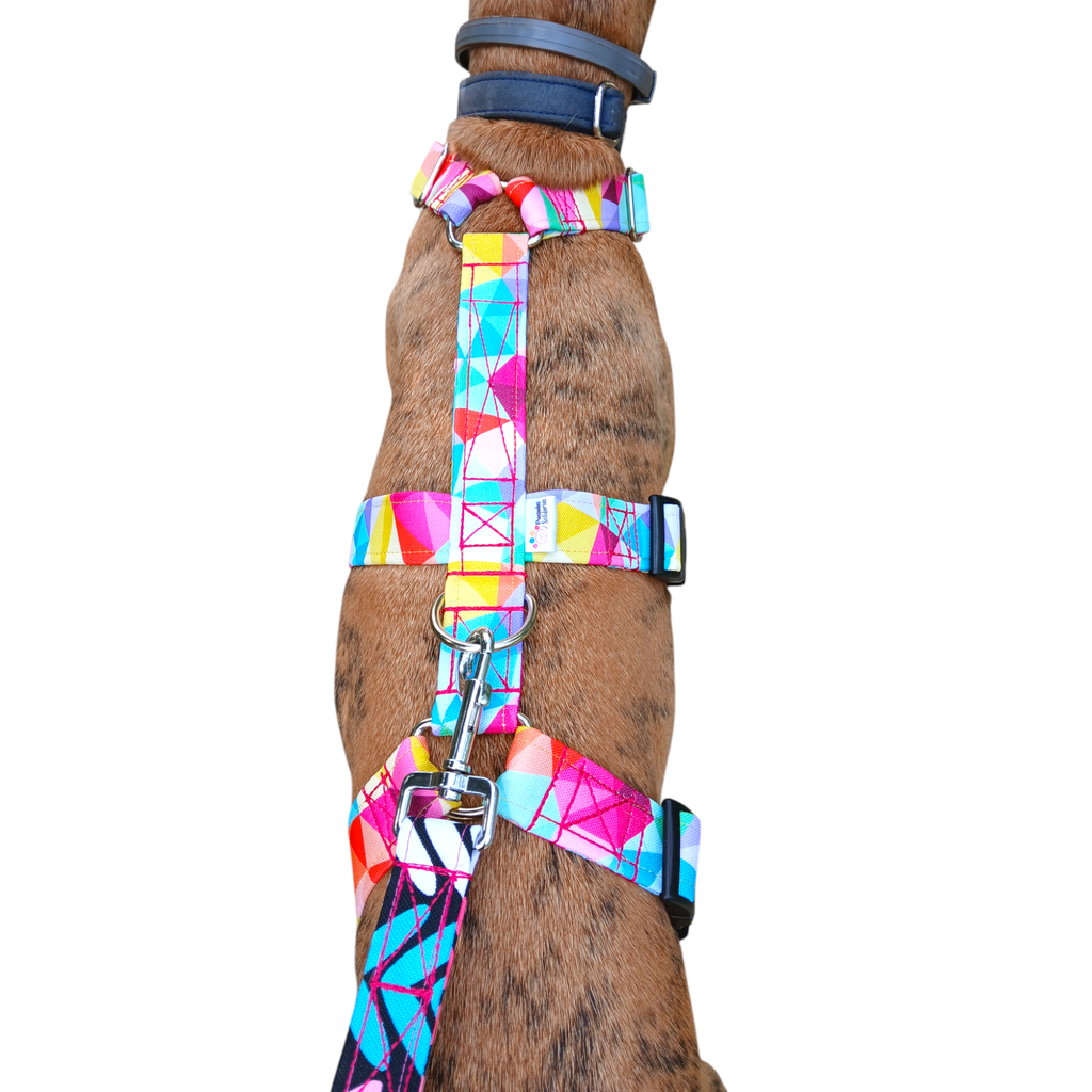 Arnes 3 puntos antiescape cubos multicolor  impermeable  (2,5 cm, Si, Si)