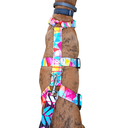 Arnes 3 puntos antiescape cubos multicolor  impermeable 