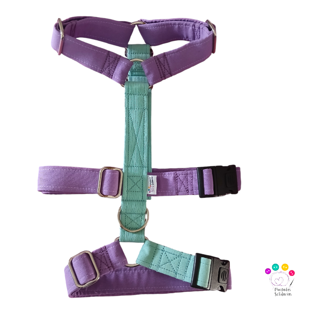 Arnés 3 puntos colors lila/turquesa a medida 