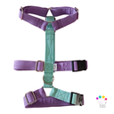 Arnés 3 puntos colors lila/turquesa a medida 