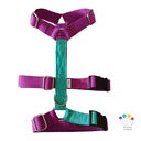 Arnés 3 puntos  Colors