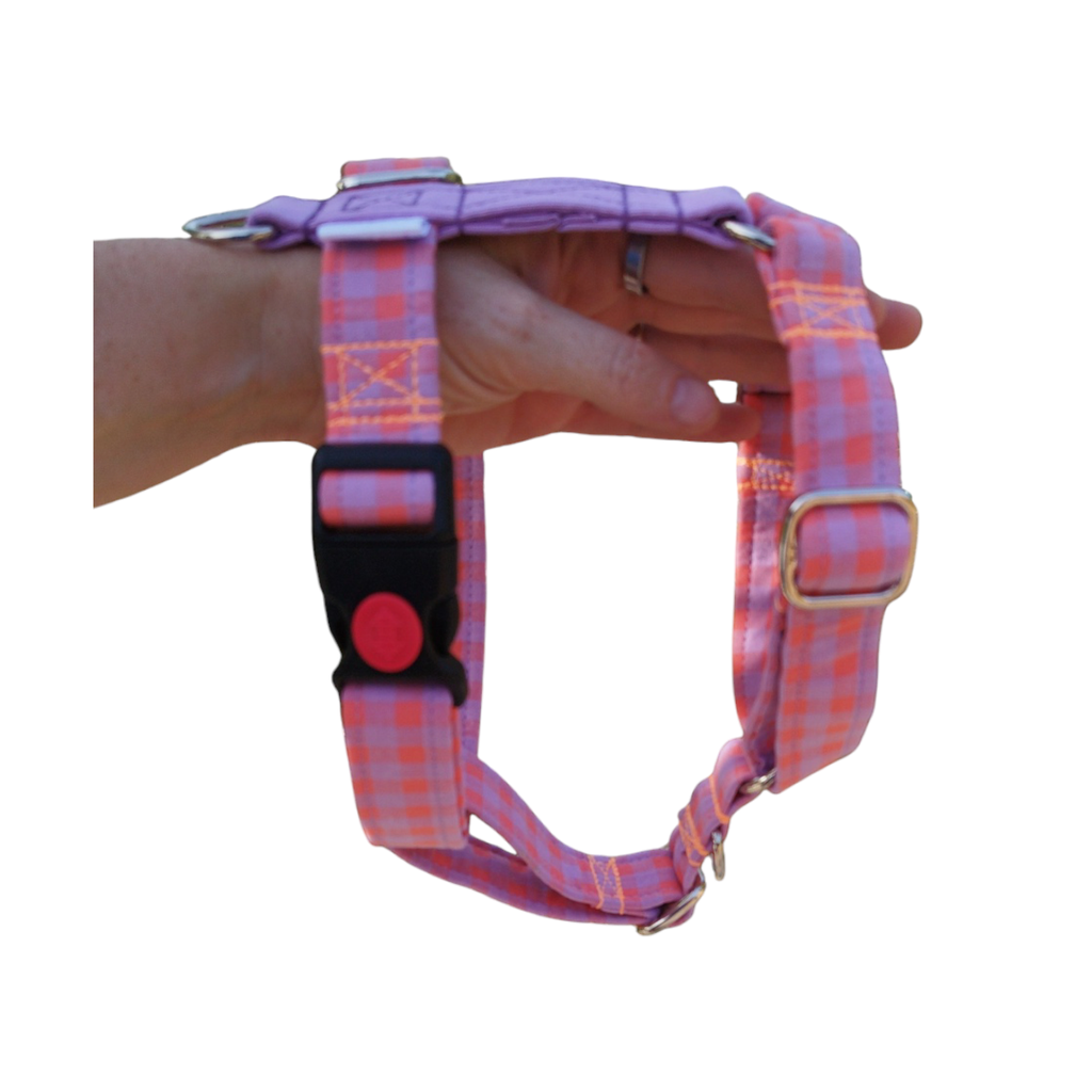 Arnés de 2 puntos Vichy naranja/lila a medida (2,5 cm, Si, Si, Si)