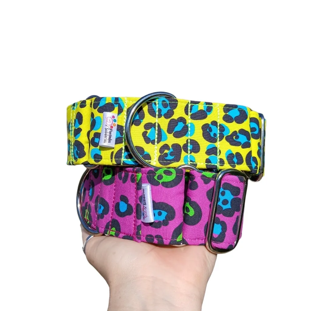 Collar 
martingale animal print (fucsia, amarillo, turquesa) personalizado (4 cm, Turquesa, Si)