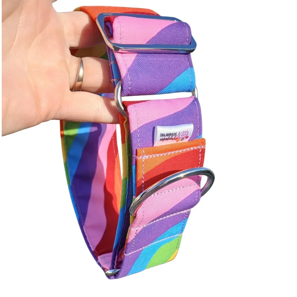Collar martingale arcoiris personalizado (4 cm, Si)