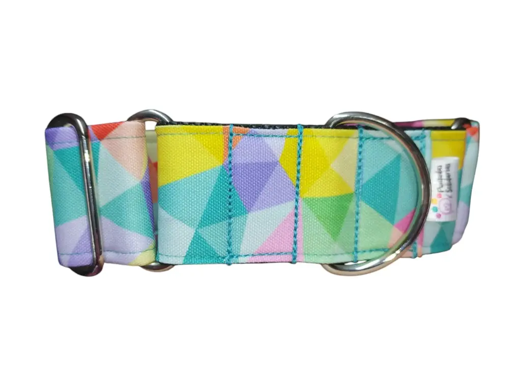 Collar martingale de 4 cm arcoiris impermeable 