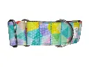 Collar martingale de 4 cm arcoiris impermeable 
