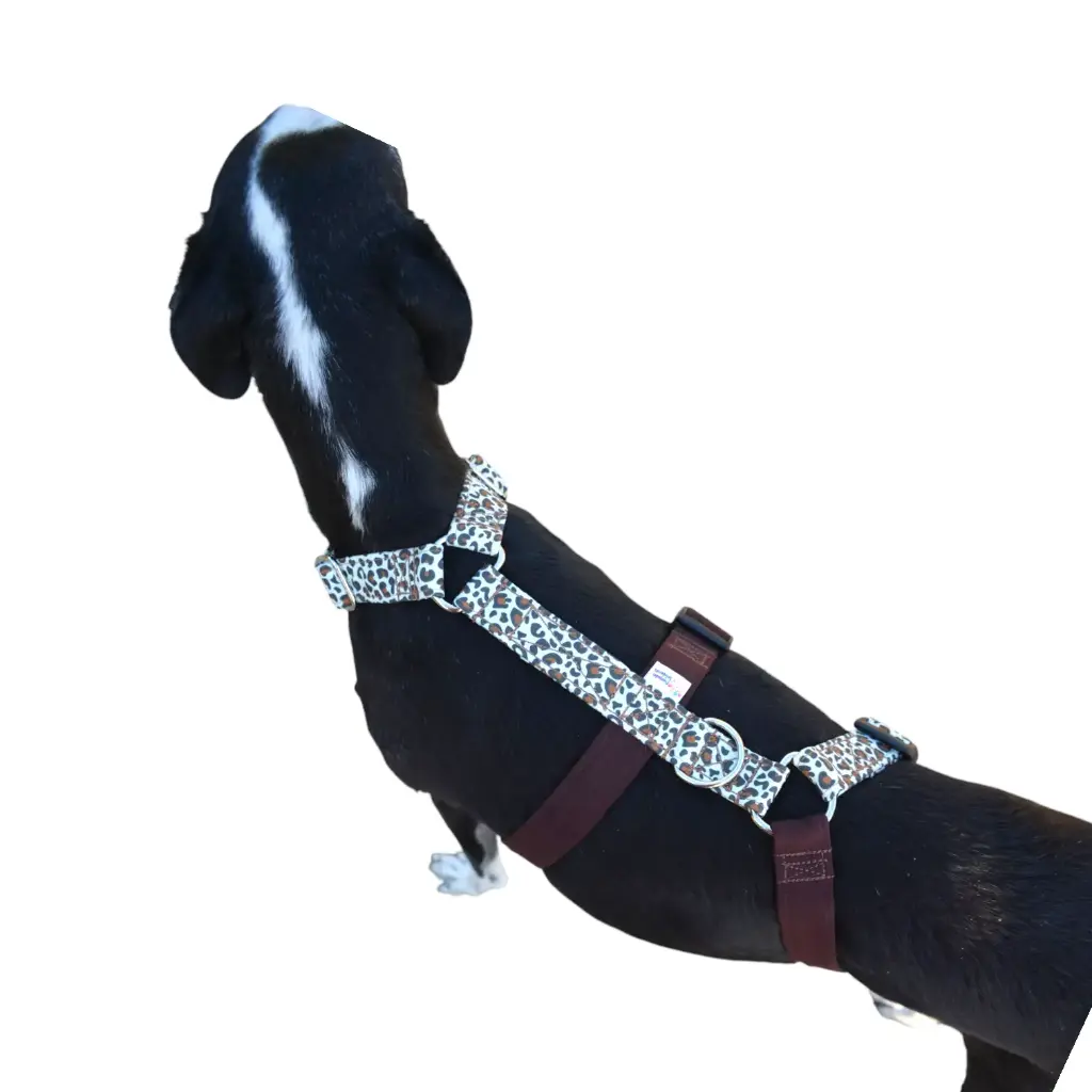 Arnes animal prin/marrón 