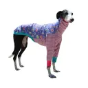 Camiseta muffins con patitas/rayas