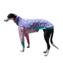 Camiseta muffins con patitas 