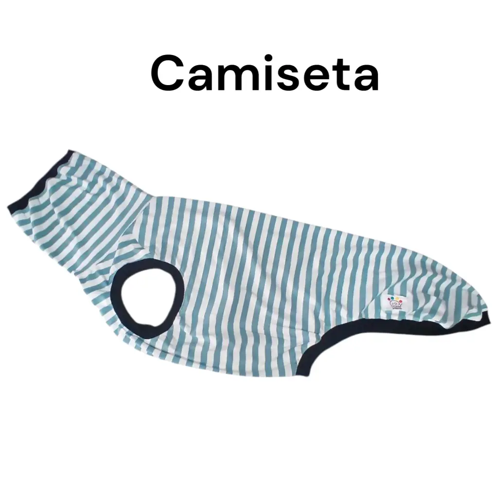 Camiseta de Rayas verde agua (S)