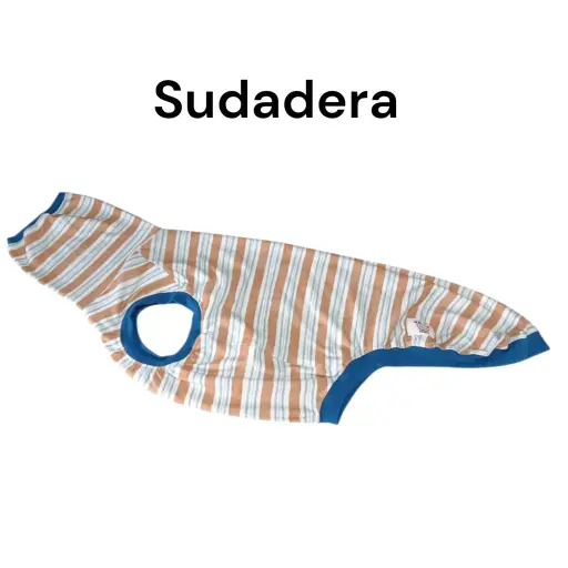 Sudadera de french terry afelpado 