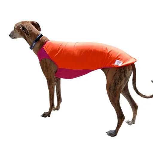 Lycra larga 
